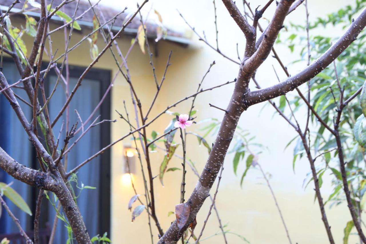 L'Amant Homestay ダラット エクステリア 写真