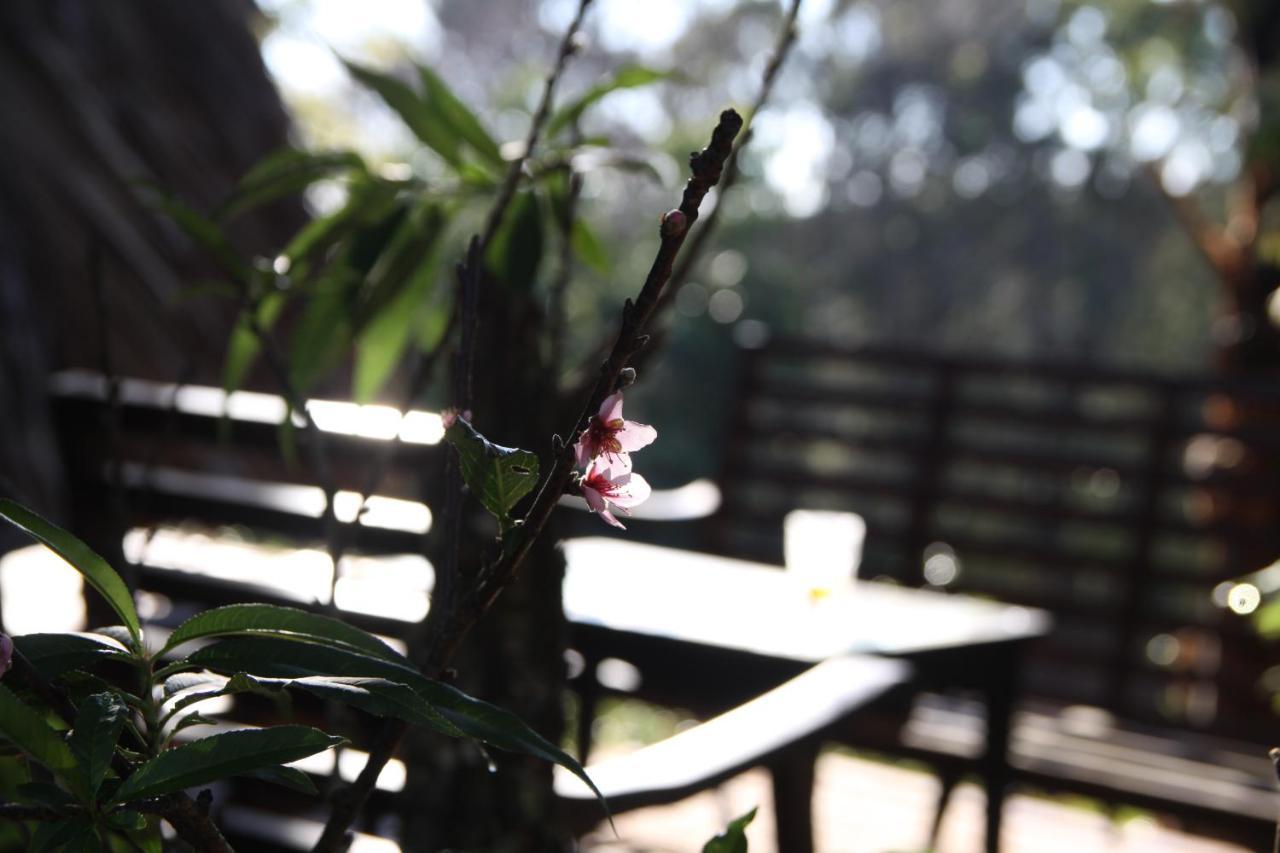L'Amant Homestay ダラット エクステリア 写真