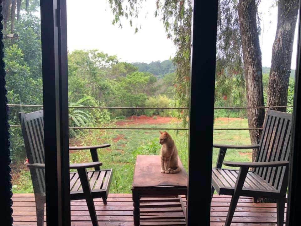L'Amant Homestay ダラット エクステリア 写真